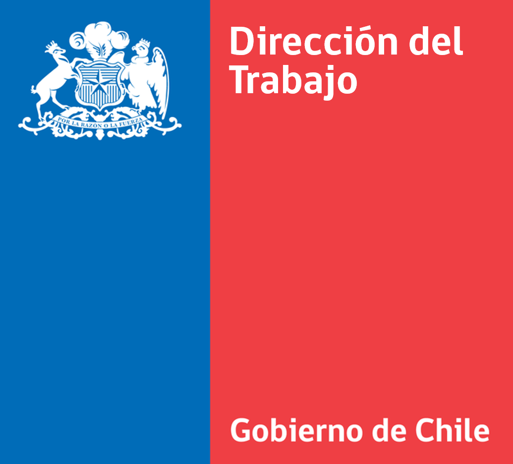 Logo DT
